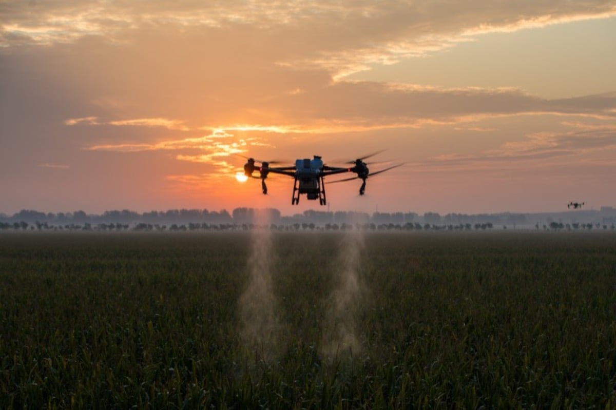 Distribuzione liquidi - Servizi AZ Agriculture