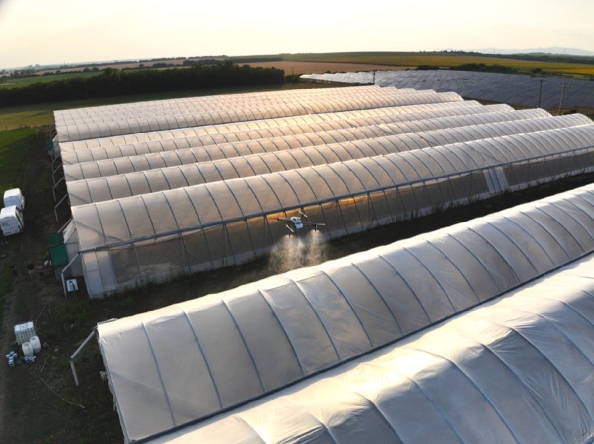 Ombreggiatura Serre - Servizi AZ Agriculture