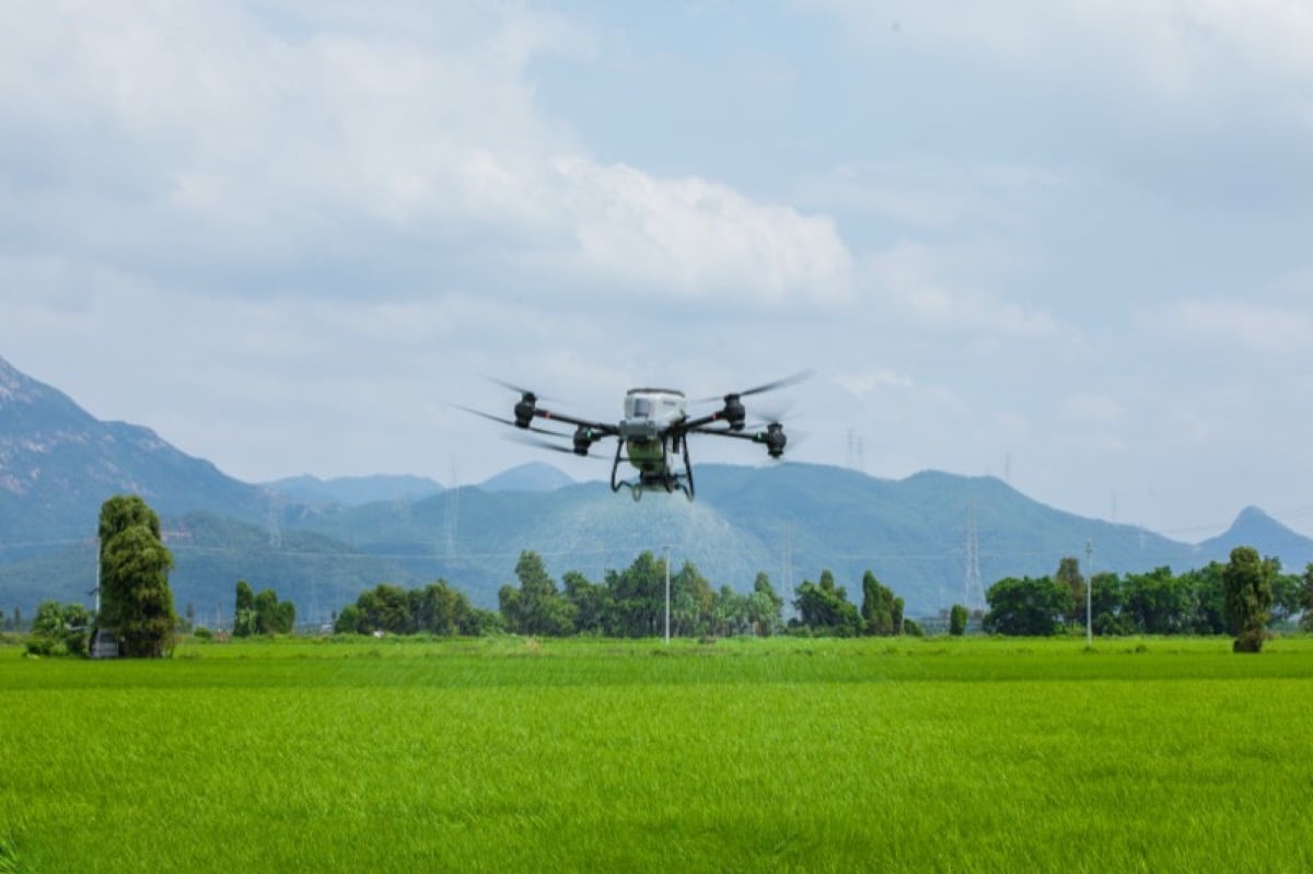 Concimazioni granulari e semine - Servizi AZ Agriculture